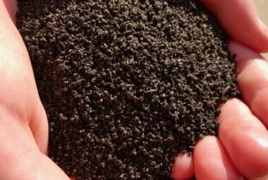 Using Your Worm Castings