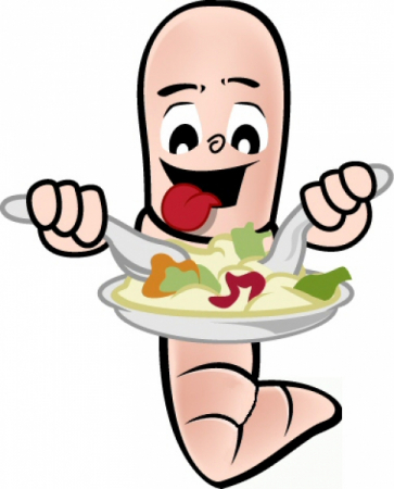 Do Worms Eat Food