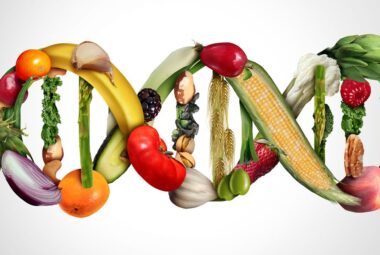 Worms Break Down GMO's