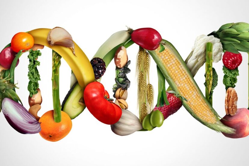 Worms Break Down GMO's