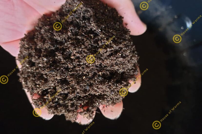 Worm Castings for Plants