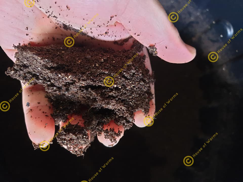 Ingredients For Quality Castings 2