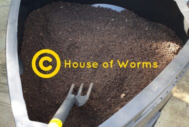 Ingredients For Quality Castings