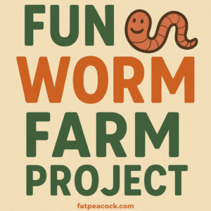Fun Worm Farm Project